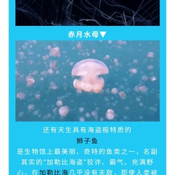 我的愿望